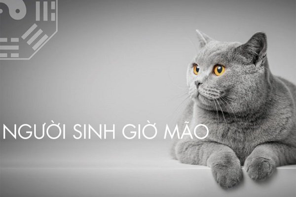 Giờ mão là mấy giờ 6