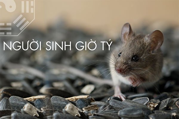 Giờ Tý là mấy giờ 7