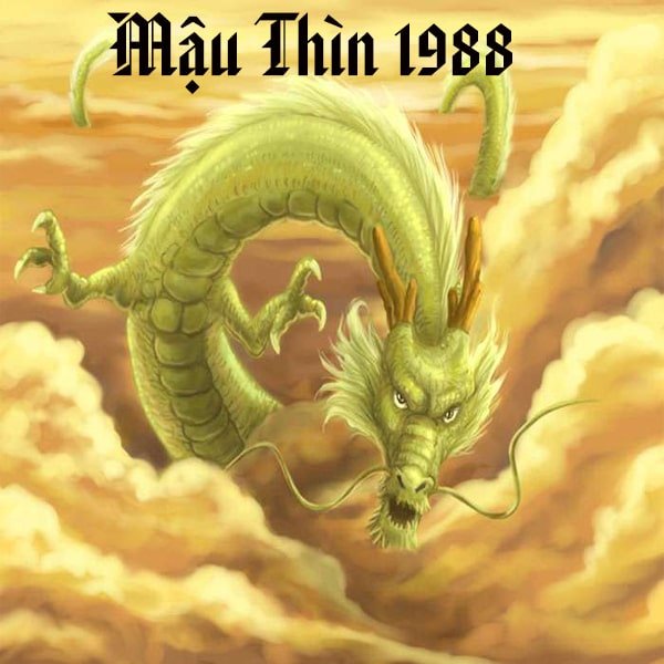 Tuổi Mậu Thìn sinh năm 1988 mệnh gì