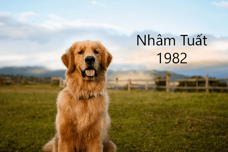 Tuổi Nhâm Tuất sinh năm 1982 mệnh gì 1