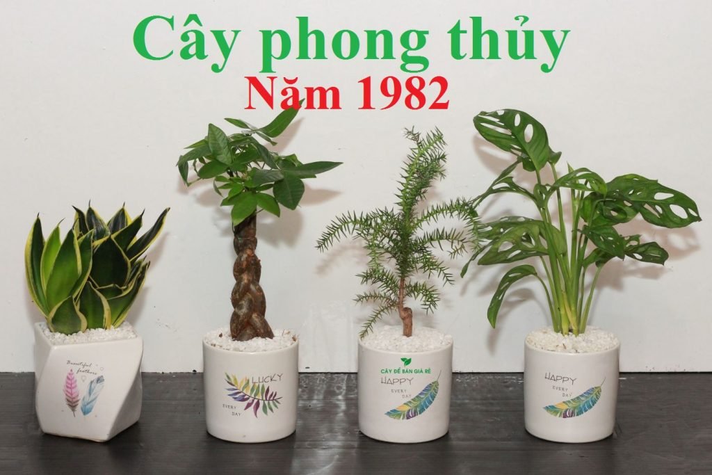 Tuổi Nhâm Tuất sinh năm 1982 mệnh gì 10