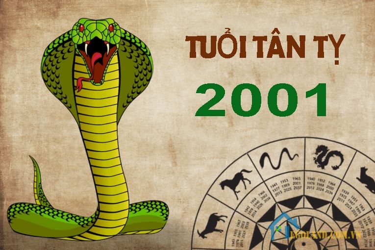 Tuổi Tân Tỵ sinh năm 2001 mệnh gì